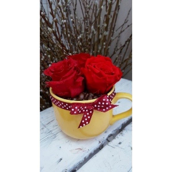 Miegančios rožės keramikiniame puodelyje