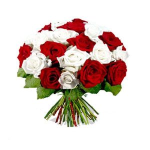 Raudonų ir baltų rožių puokštė Balta-raudona