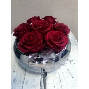 Miegančios rožės keramikiniame inde